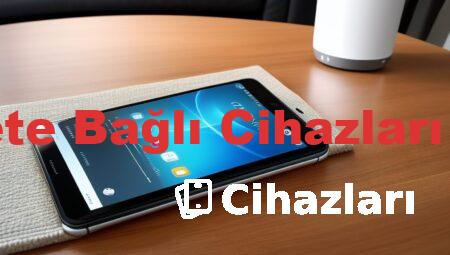 İnternete Bağlı Cihazları Görme