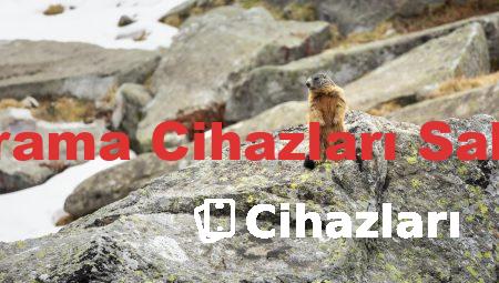 Alan Tarama Cihazları Sahibinden