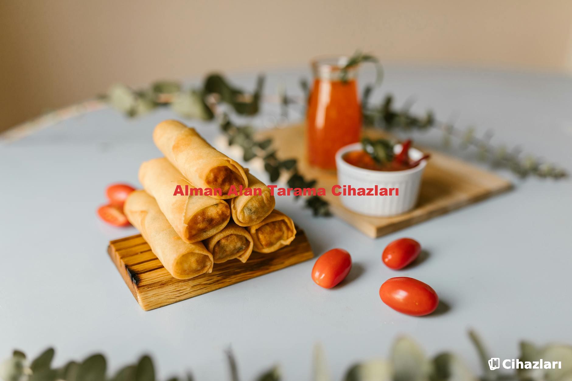 Alman Alan Tarama Cihazları