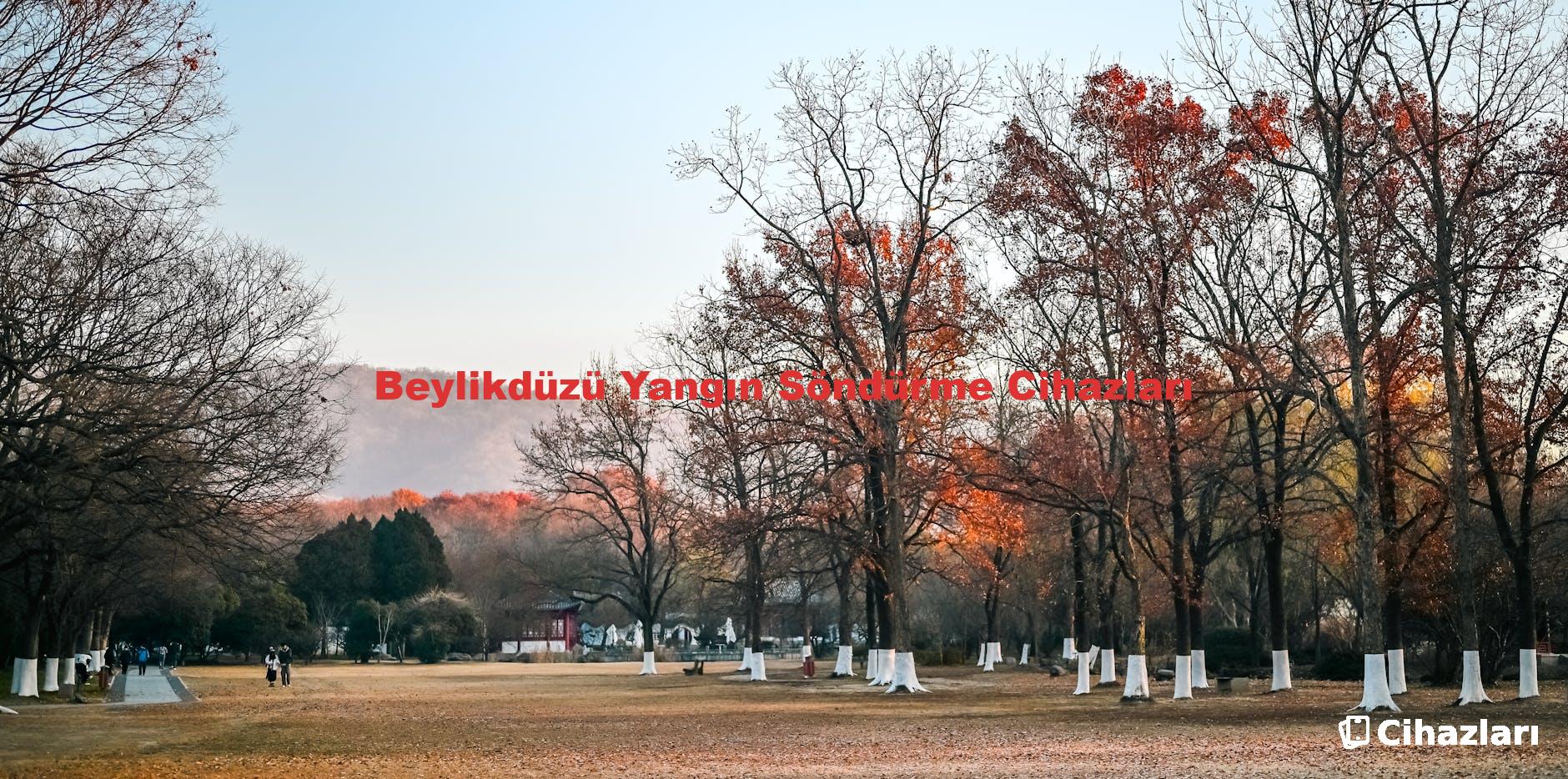 Beylikdüzü Yangın Söndürme Cihazları