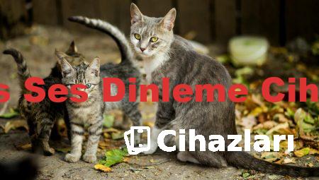 Casus Ses Dinleme Cihazları