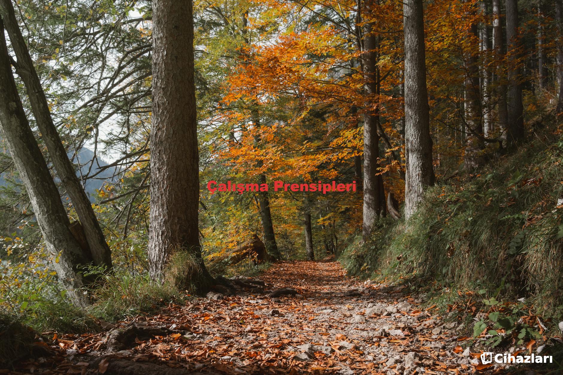 Çalışma Prensipleri