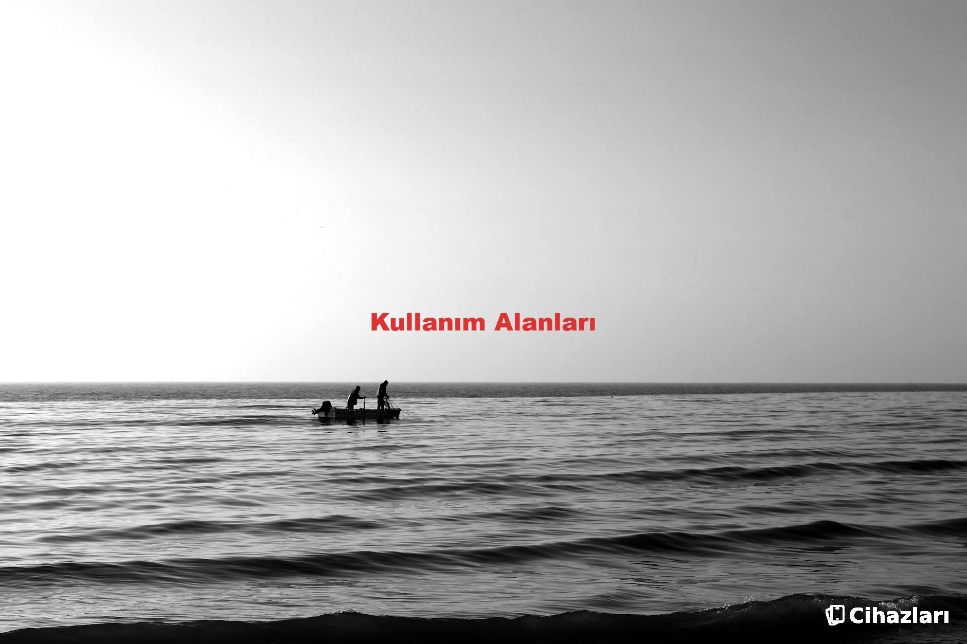 Kullanım Alanları