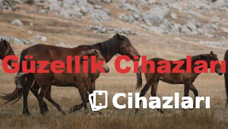 Güzellik Cihazları