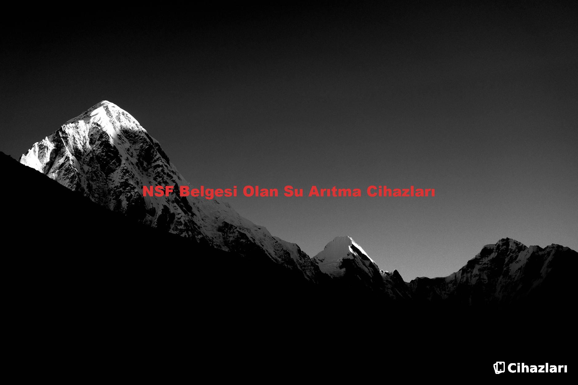 NSF Belgesi Olan Su Arıtma Cihazları