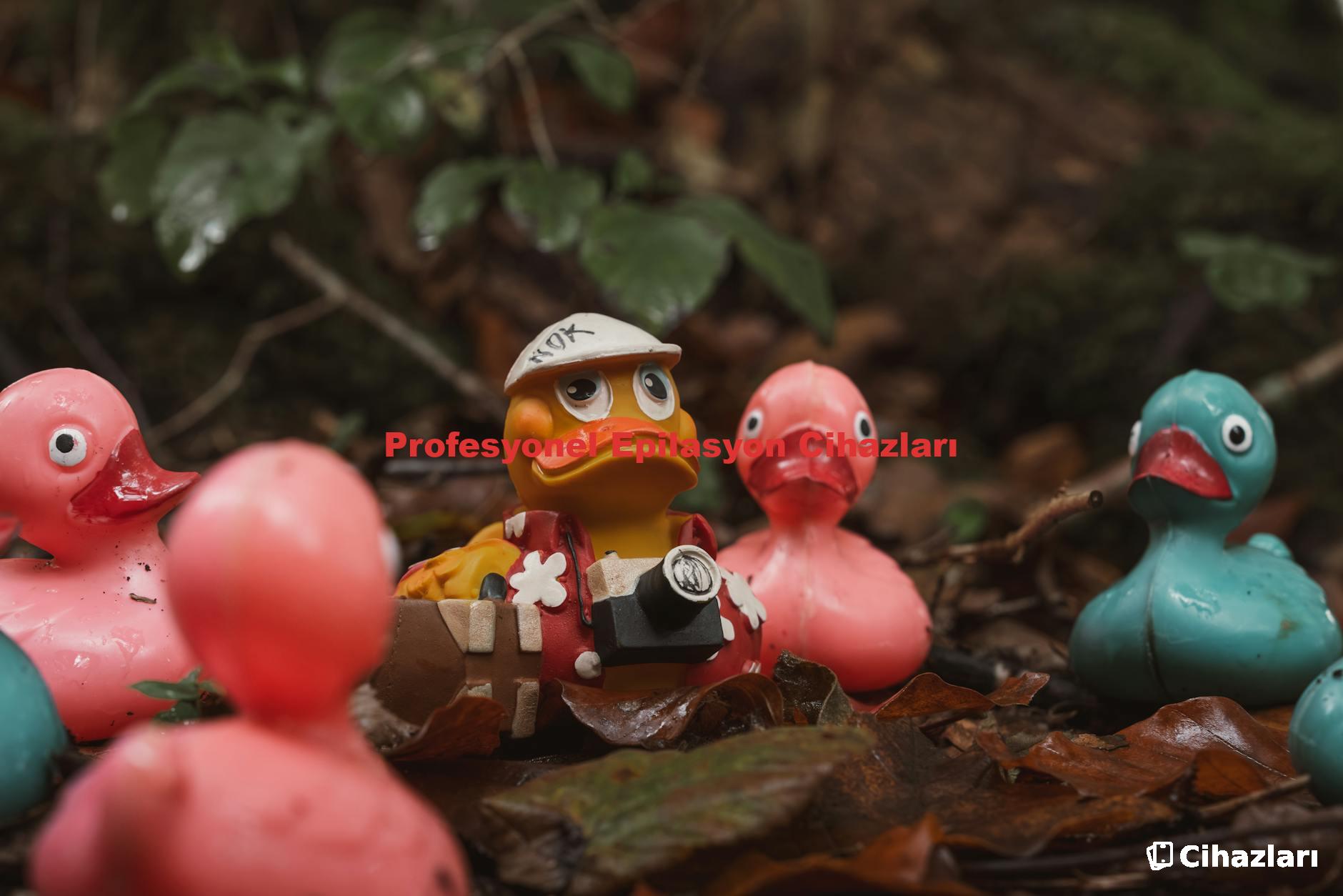 Profesyonel Epilasyon Cihazları