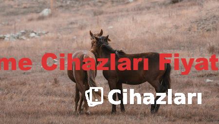 Resound İşitme Cihazları Fiyat Listesi 2018