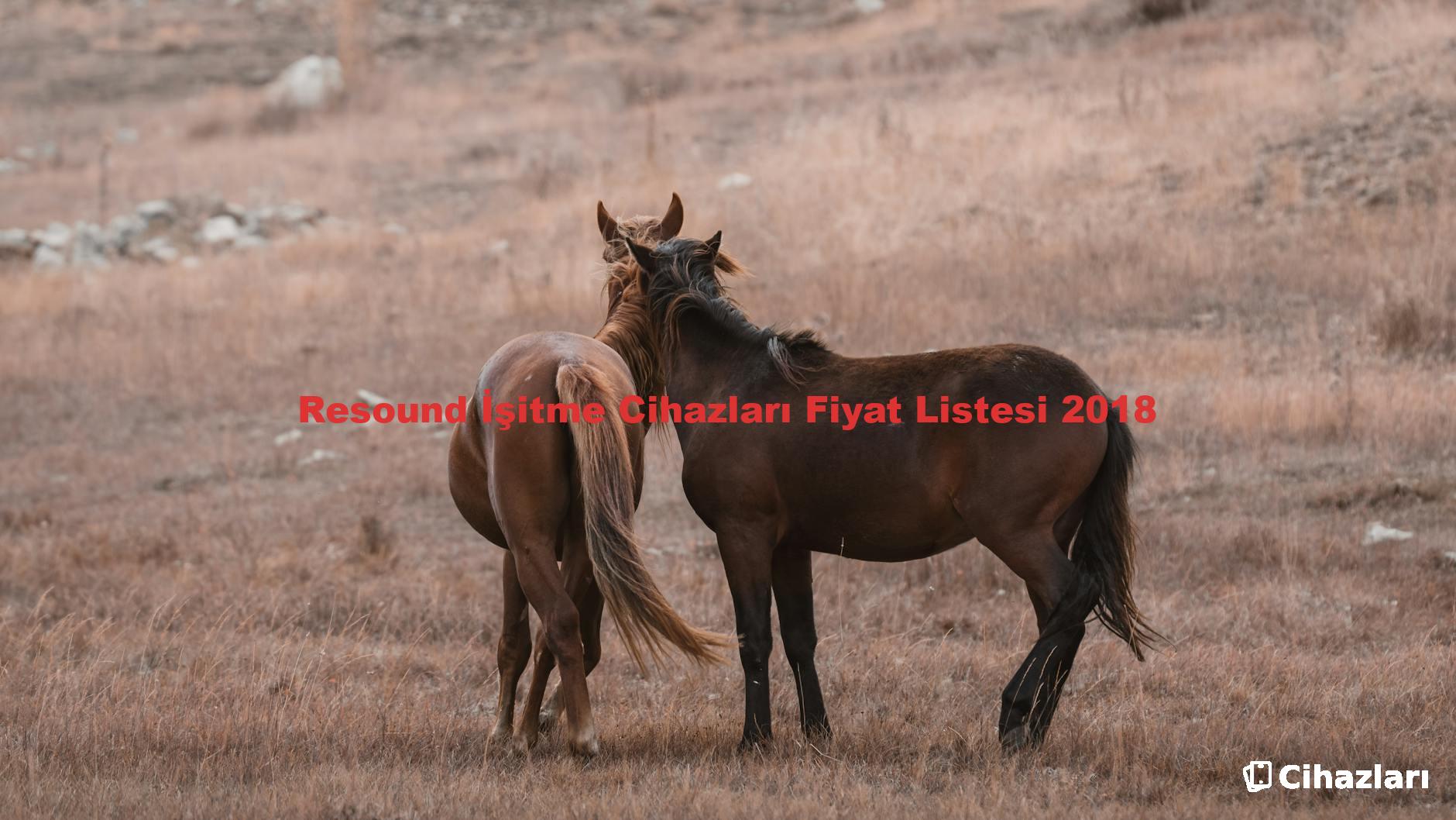 Resound İşitme Cihazları Fiyat Listesi 2018
