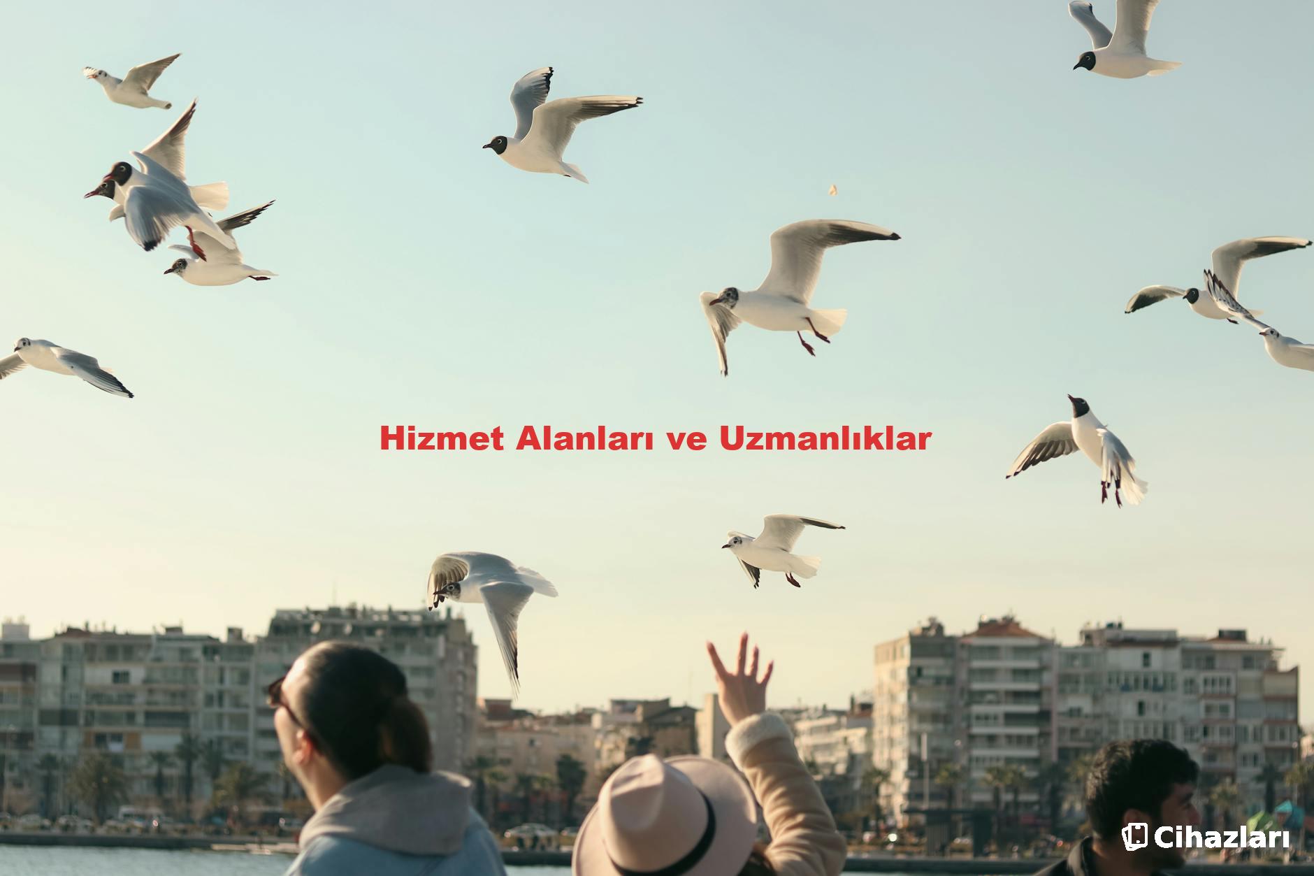 Hizmet Alanları ve Uzmanlıklar