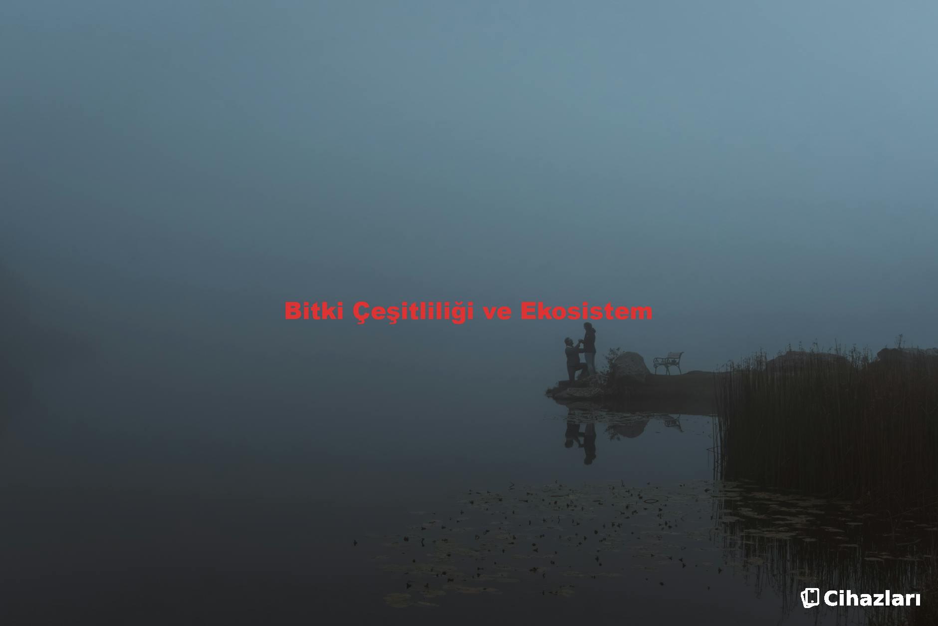 Bitki Çeşitliliği ve Ekosistem