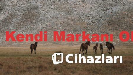 Fason Kozmetik: Kendi Markanı Oluşturmanın Yolu