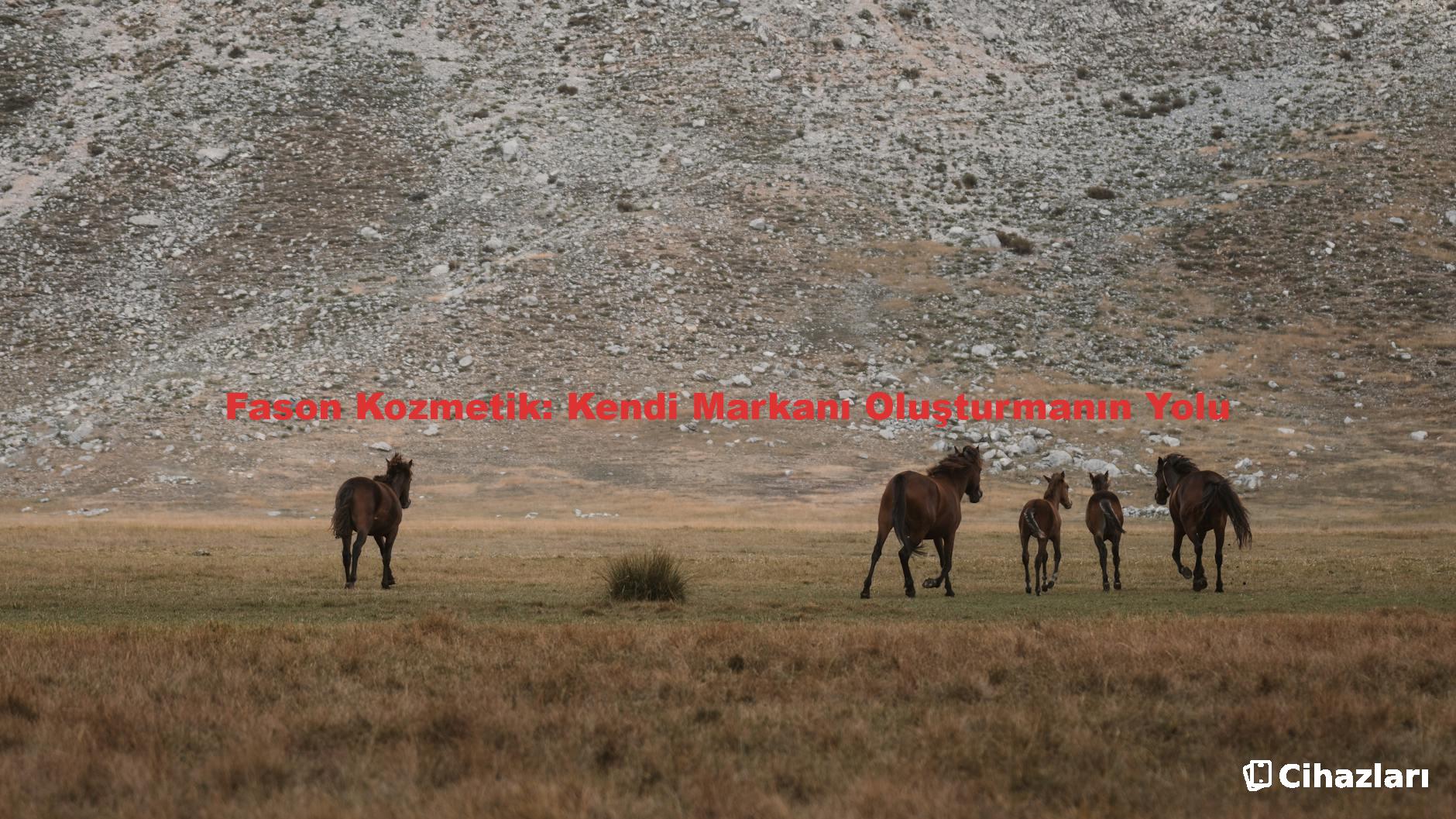 Fason Kozmetik: Kendi Markanı Oluşturmanın Yolu