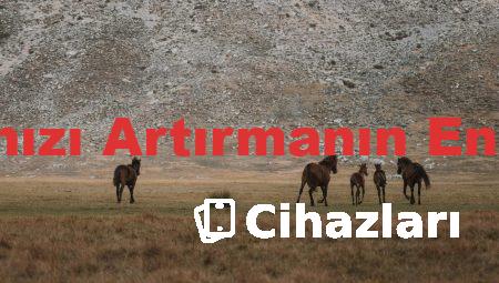 Takipçi Sayınızı Artırmanın En Etkili Yolları