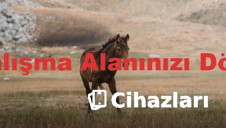 Dell ile Çalışma Alanınızı Dönüştürün!