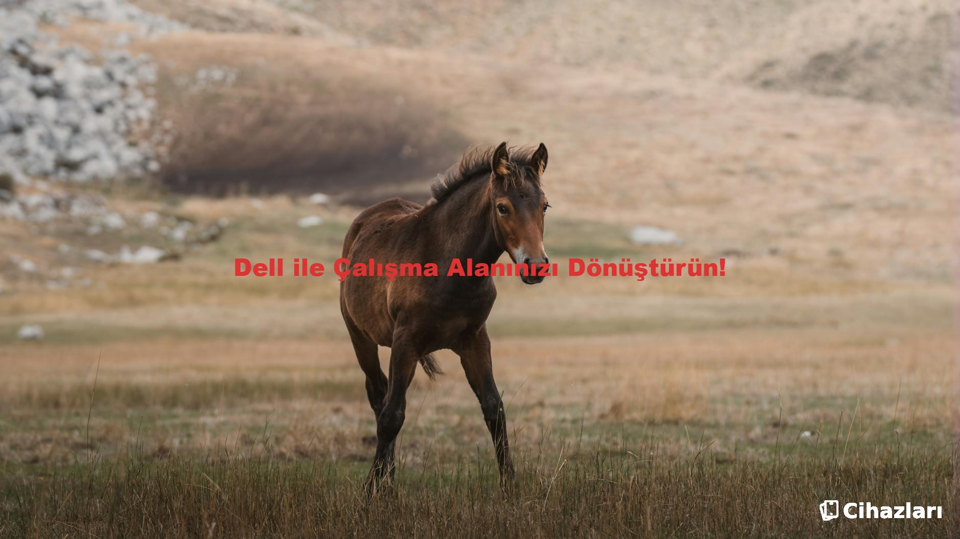 Dell ile Çalışma Alanınızı Dönüştürün!