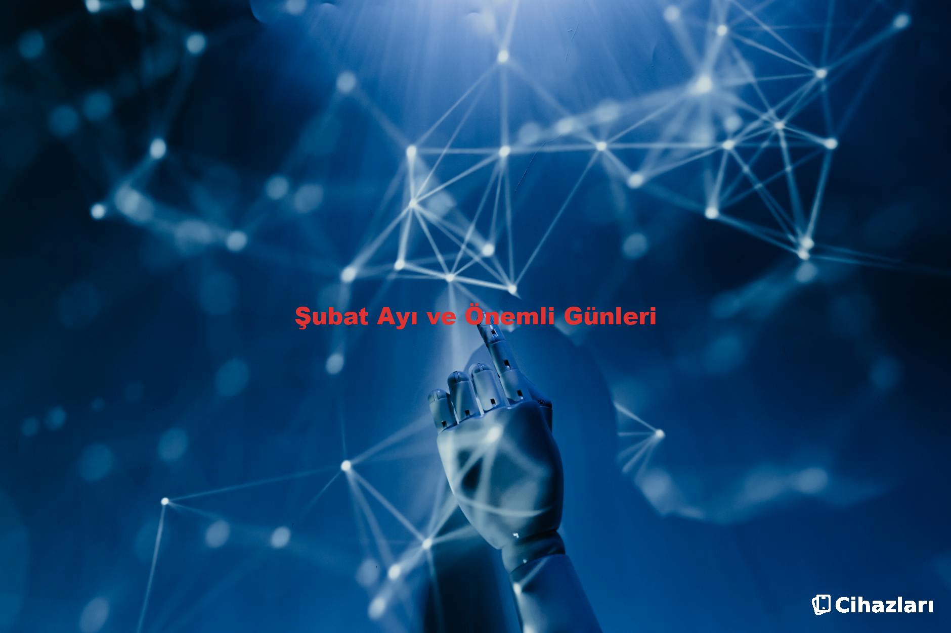 Şubat Ayı ve Önemli Günleri