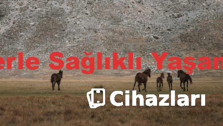 Güncel Tavsiyelerle Sağlıklı Yaşamın Püf Noktaları