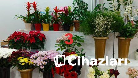 Floksia.com ile Çiçek Gönderiminde Tasarruf Edin